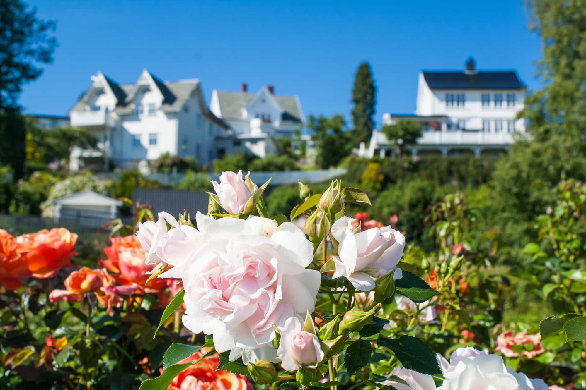 Introduction slide #3